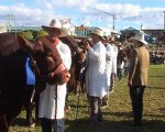 Show Ring